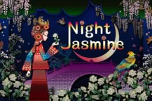 Night Jasmine