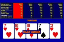 Game King Jacks or Better