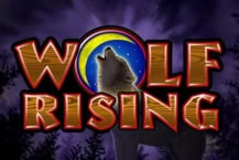 Wolf Rising