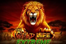 The Wild Life Extreme