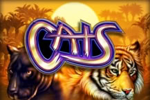 Cats (1137)