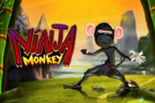Ninja Monkey