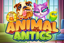 Animal Antics