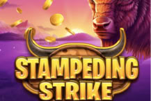 Stampeding Strike - Hold and Win