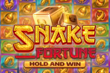 Snake Fortune Hold And Win