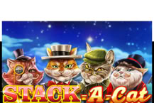 Stack a Cat