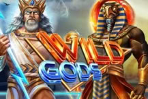 Wild Gods