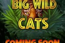 Big Wild Cats