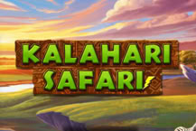 Kalahari Safari