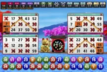 Golden Lucky Cat Bingo