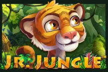 JR Jungle