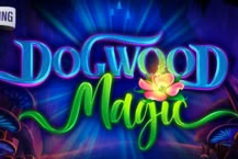 Dogwood Magic