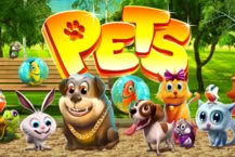 Pets