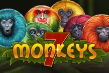 7 Monkeys