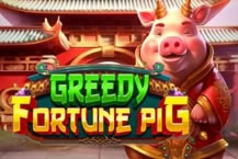 Greedy Fortune Pig