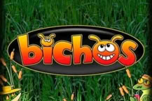 Bichos