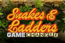 Snakes & Ladders Game Changer