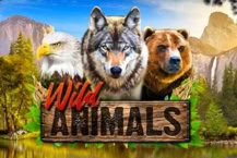 Wild Animals