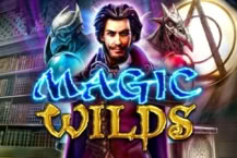Magic Wilds