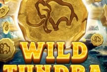 Wild Tundra