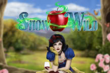 Snow Wild