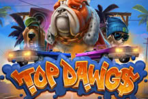 Top Dawg$