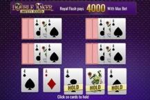 Double Joker Multi-Hand