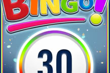 Bingo 30 Ball