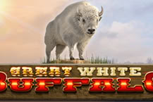 Great White Buffalo