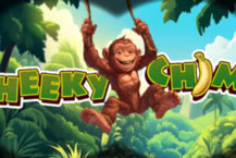 Cheeky Chimp