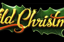 Wild Christmas