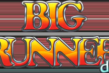 Big Runner Dice