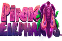 Pink Elephants