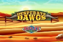Desperate Dawgs