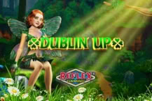Dublin Up Doublemax