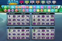 Boto Bingo