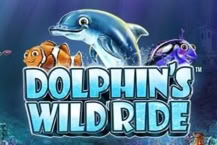 Dolphin's Wild Ride