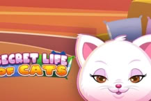 Secret Life of Cats