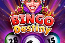 Bingo Destiny