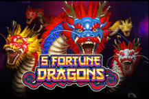 5 Fortune Dragons