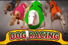 Dog Racing