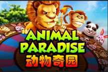 Animal Paradise