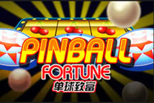 PinBall Fortune