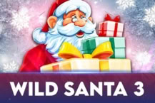Wild Santa 3