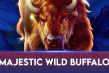 Majestic Wild Buffalo