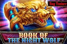 Book Of The Night Wolf