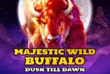 Majestic Wild Buffalo – Dusk Till Dawn