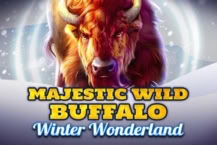 Majestic Wild Buffalo – Winter Wonderland