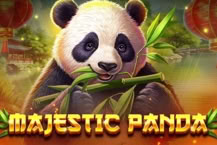 Majestic Panda