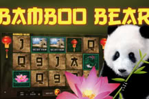 Bamboo Bear